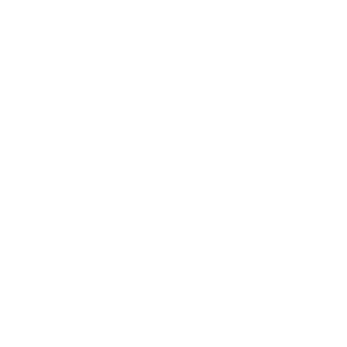 Logo Wöschmaschine Langnau